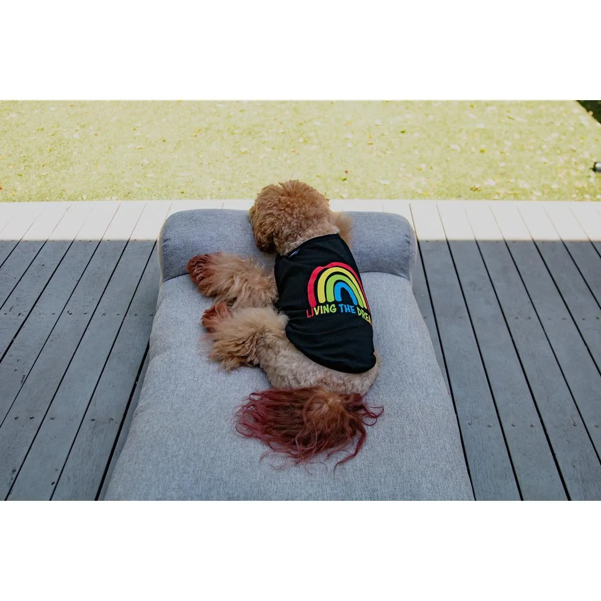 DGG Dog T-Shirt Living the Dream
