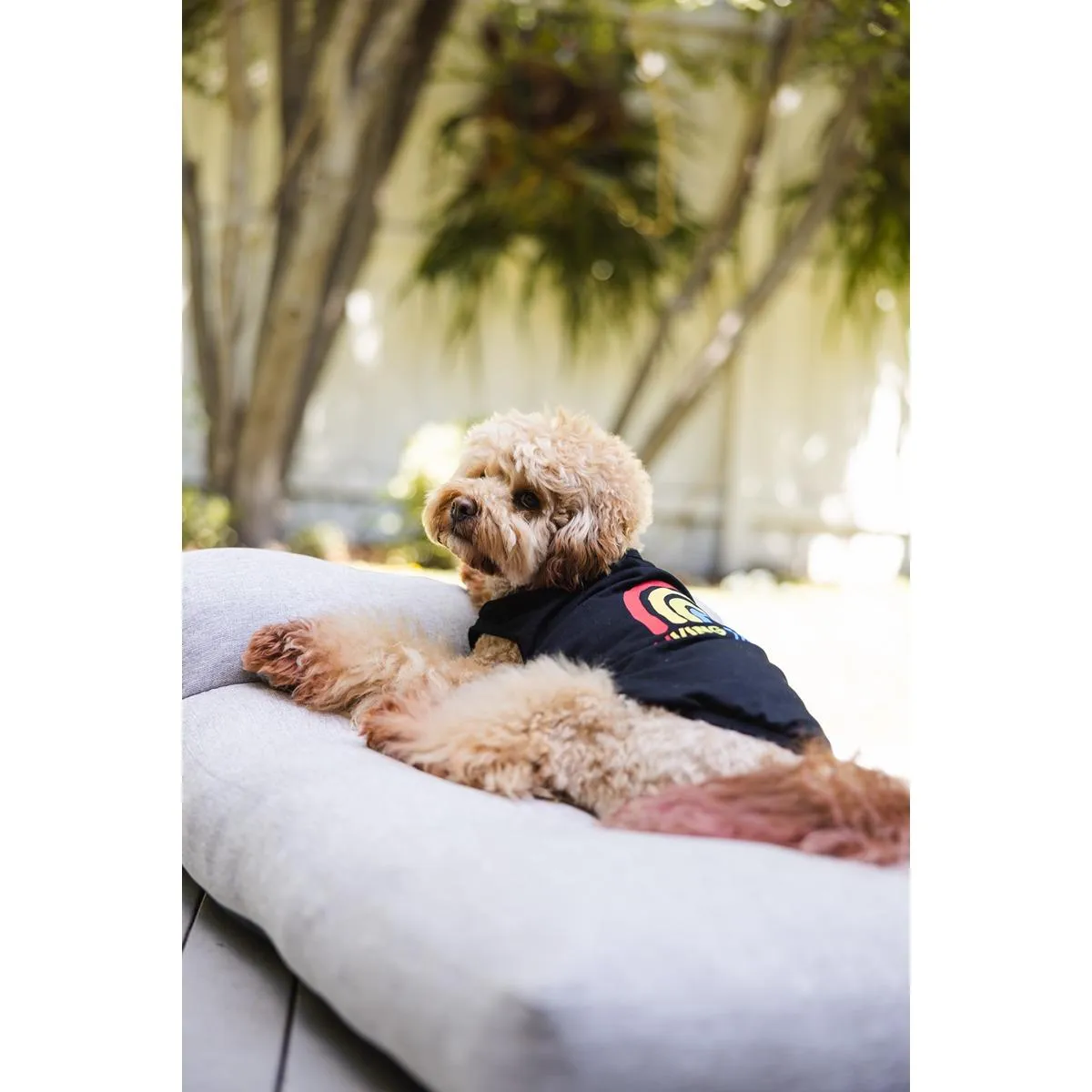 DGG Dog T-Shirt Living the Dream
