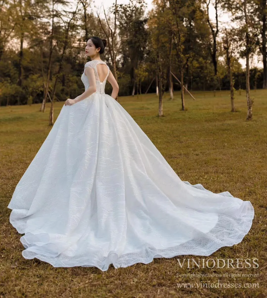 Open Back Cap Sleeve Lace Wedding Dresses Ball Gowns VW1752