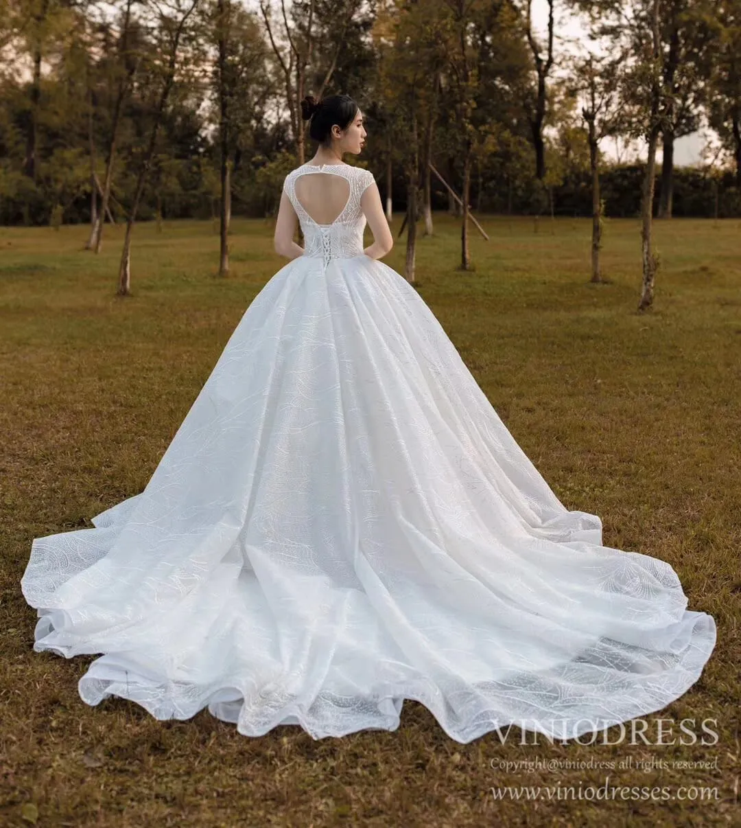Open Back Cap Sleeve Lace Wedding Dresses Ball Gowns VW1752