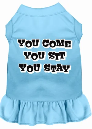 You Come, You Sit, You Stay Screen Print Dress Baby Blue Lg (14)